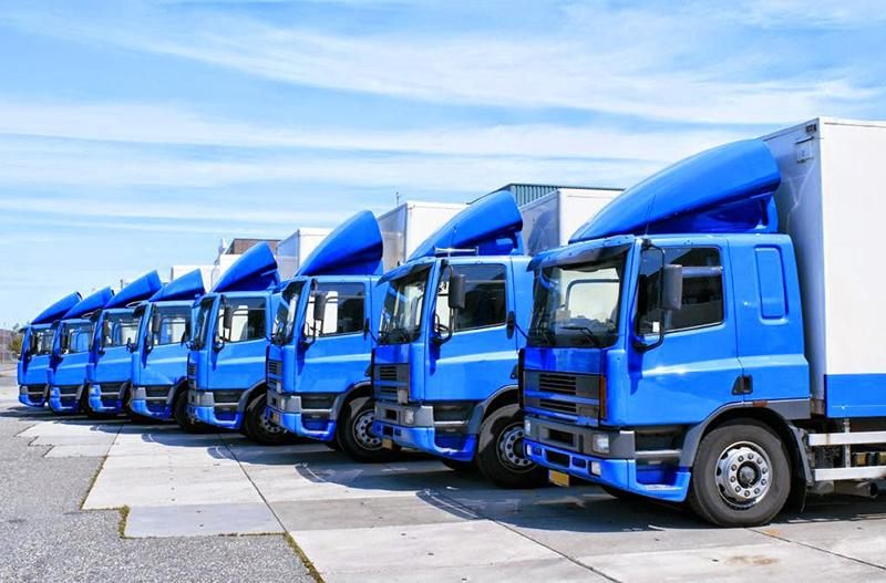 Transporte rodoviário de carga lotação de alto desempenho